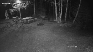 HiWatch DS-T200 (3.6 mm) ночью