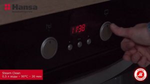 Электрический духовой шкаф Hansa BOEB64130077 Iridium