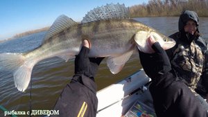 Финский воблер JESSE DEEPRUNNER DJE11 апрель 2018, ловля трофейного судака весной. Фильмы ДИВЕРА
