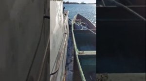 Охота на утку, на раскатах,Астрахань.Мороз, лёд, в поисках чистой воды.