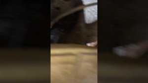 быстро выкрутил штуцера с тормозных цилиндров