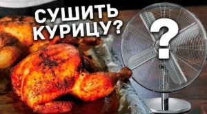 Сушить курицу ВЕНТИЛЯТОРОМ?! Но зачем?