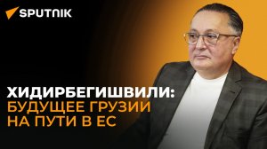 Из Грузии высосут все соки - политолог рассказал, что ожидает Грузию на пути в ЕС