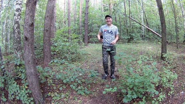 ЛЕСНАЯ ШАУРМА//ТАНЦПОЛ В ЛЕСУ