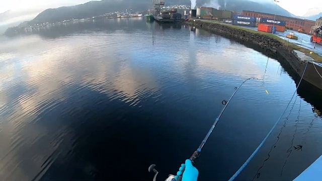 Рыбалка в Норвегии / Порт Сауда / Жирная скумбрия не хочет ловиться / Работа порта смотреть онлайн