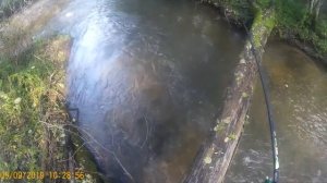 Осенняя рыбалка на хариуса,р.Муравейка