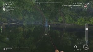 Fishing Planet - Unique Longnose Gar - Neherrin River (OutDated)