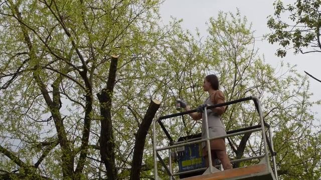 Садовый вар KUDO Средство для обработки срезов и заживления ран плодовых и декоративных деревьев смотреть онлайн