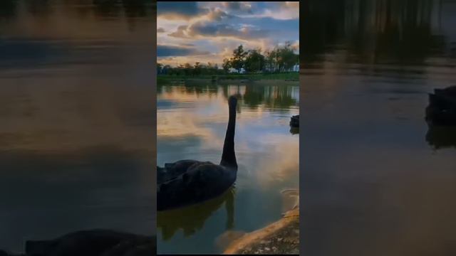 Люди берегите природу... смотреть онлайн