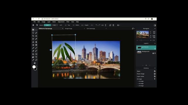 Pixlr Photo Editor- Basic Tutorial смотреть онлайн