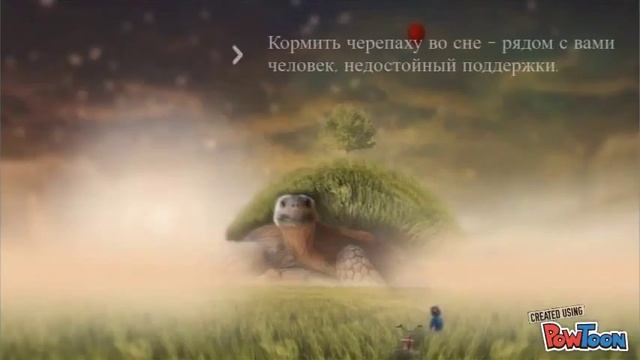 К чему снится черепаха смотреть онлайн