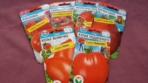Семена томатов для Сибири! Не смогла удержаться от соблазна!