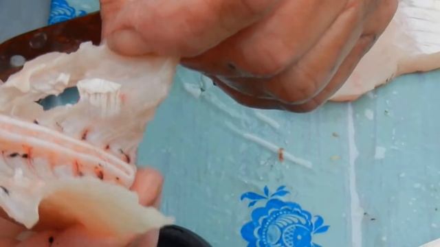 Щука жареная, одно из вкуснейших рыбных блюд, рецепт жарки и подготовки рыбы видео