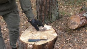 Уличный тест складной Крапивы Ивана Брагинца. Нож NETTLE F Arkona.