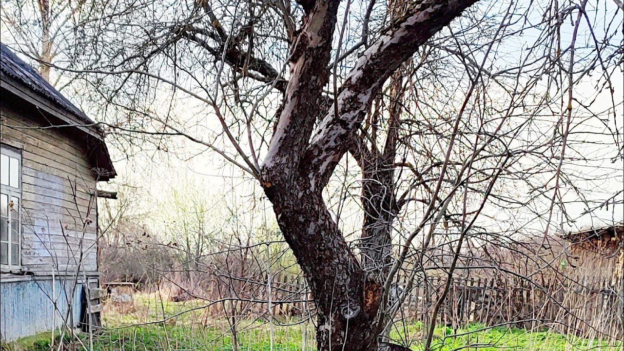 Купили Дом за 38 рублей смотреть онлайн