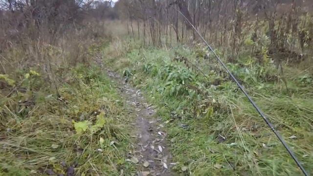 Река Битца, осенний "жор" Мормо-Щуки смотреть онлайн