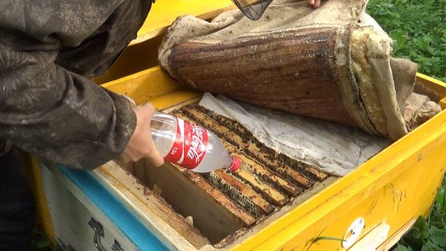 Обработка пчёл Бипином - 2017 смотреть онлайн