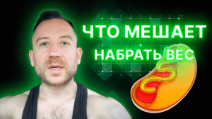 Быстрый Метаболизм или Как Набрать Вес