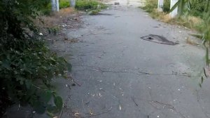 Генические заброшенки,масло сыр завод часть 1,или руины былой славы Геническа