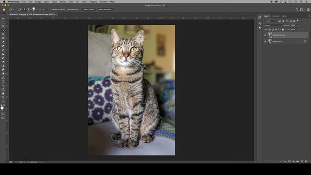 U01.2 Resize an Image for Instagram w/ Content Aware Scale & Object Protection in Adobe Photoshop смотреть онлайн
