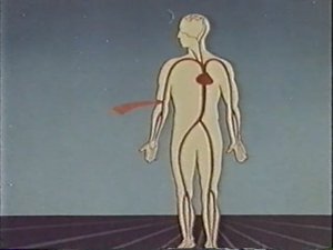 ОБЖ-НВП. Первая медицинская помощь. Первая помощь при кровотечениях