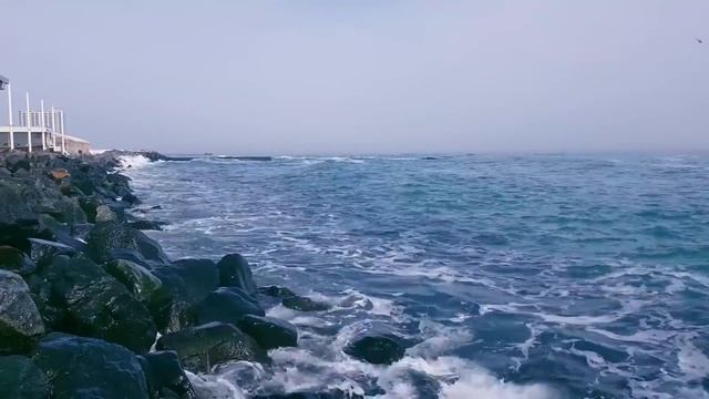 Поздравление с праздником мужчин из Павлодара и Актау смотреть онлайн