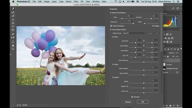 Урок 1. Использование фильтра Liquify/Пластика в Adobe Photoshop. Приемы ретуши портретов.