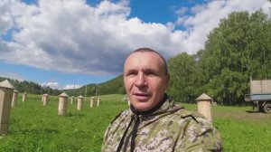 Новая ловушка на звериной тропе. Модная пасека и дикая природа.