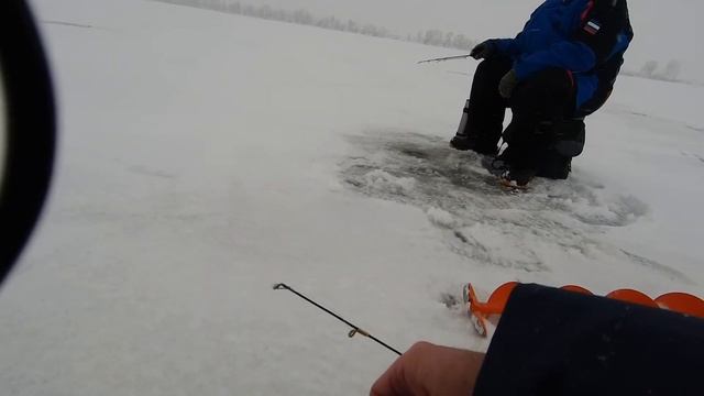 Соблазнить на поклёвку зимой . Подход берша на эхолоте практик. Поимка берша. Бур Неро мини 150мм. смотреть онлайн