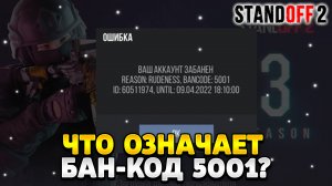 Что означает код 5001 в стандофф 2
