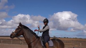 How To Hold And Use Your Reins On A Dressage Horse