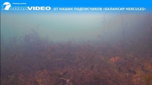 Балансир для зимний рыбалки HERCULES на щуку, судака и окуня. Рыбалка на ура! Топ-10 по уловистости