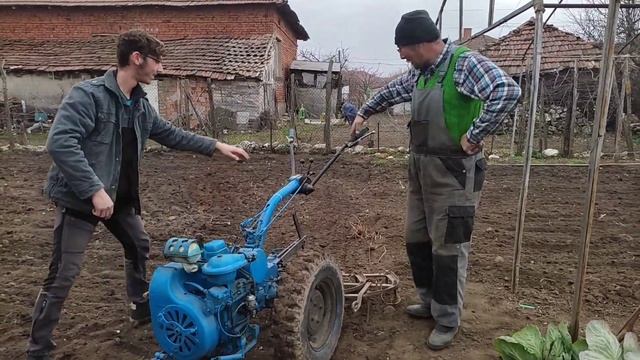 РАБОТА СЪС СИНИЯ ЗВЯР / МОТОБЛОК БЕЛАРУС МТЗ 05К #МТЗ05 #обзор мотоблока #беларусь