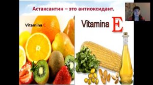 всё о wellness продуктах, как сохранить и восстановить здоровье