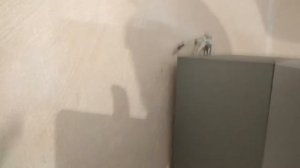 Усилитель 2х3 тянет 2х100