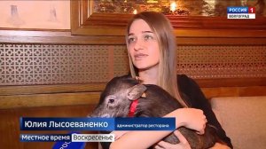 В волгоградском ресторане живет мини-пиг