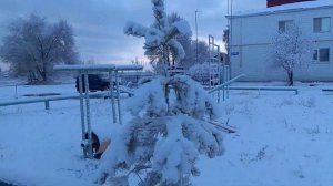 Село Малая Малышевка, кинельский район самарской области.