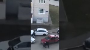бешеная собака