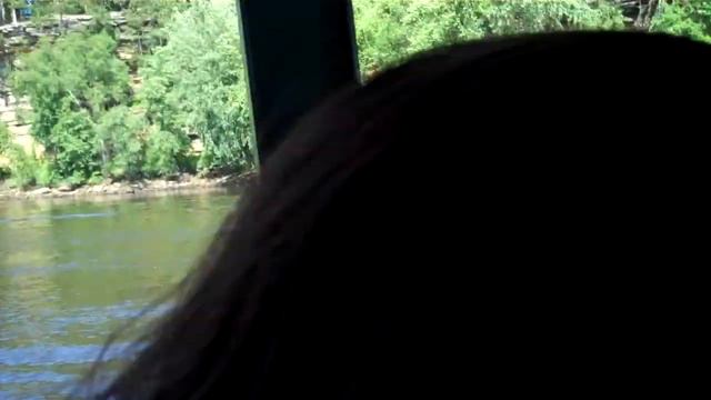 WD7 смотреть онлайн