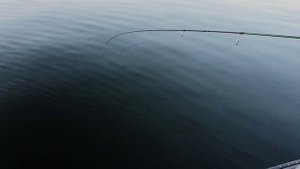 Рыбалка с К. Кузьминым на Волге в июле 2024 г.