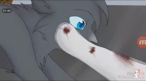 Коты Воители История Белогривки