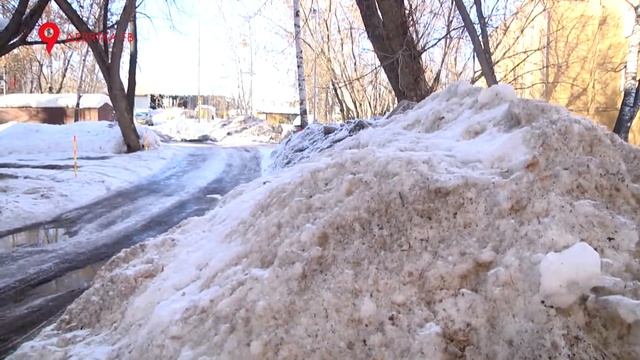 Точка зрения 19.03.2017 Праймериз и цветок