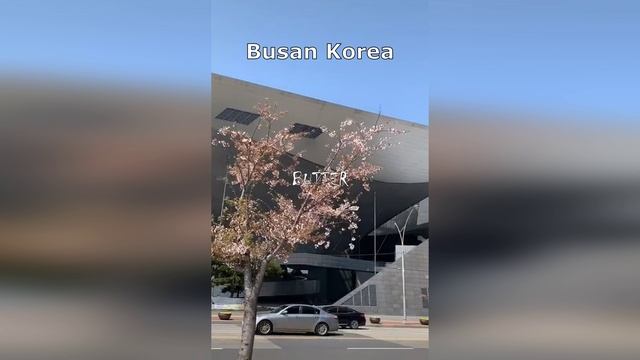 BTS в Пусане | BUSAN, KOREA |