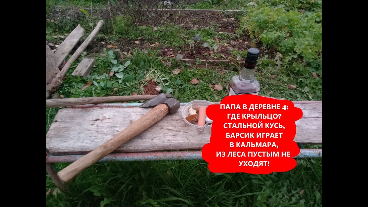 Папа в деревне 4: где крыльцо, железный кусь, Барсик играет в кальмара, дары леса
