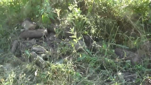 №1. Обиходить дамбы, вывезти дрова, приготовиться к зиме. 15. 08. 2018 смотреть онлайн