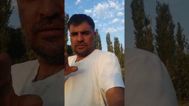 Кошка съела змею смотреть онлайн