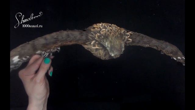 Фоамиран! Презентация МК "Ястреб" фом арт смотреть онлайн