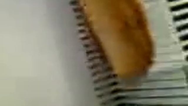 Видео0021 смотреть онлайн