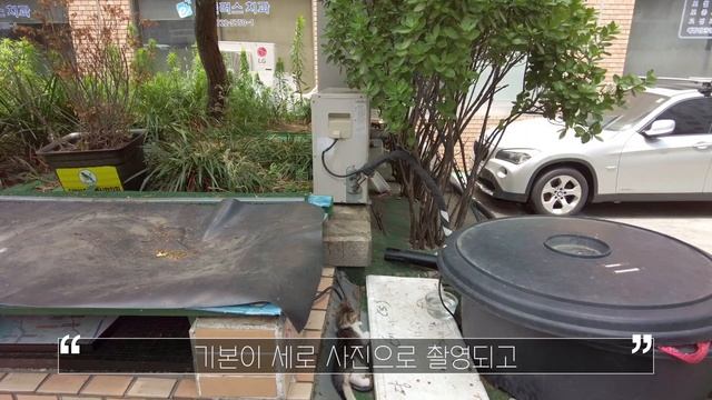 코닥 토이카메라 & 하프카메라 : 엑타 H35 리뷰(Kodak Ektar H35) смотреть онлайн