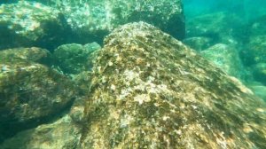 Подводный мир Таиланда на острове Пхукет.